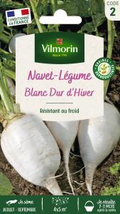 Navet-Légume Blanc Dur d'Hiver